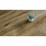 Lames pvc clipsable - sous couche int�gr�e - ep. 5, 5 mm - garantie 20 ans - imitation ch�ne fonc� - ...