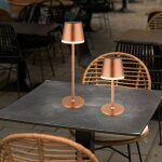 Lampe de table solaire lampe d'ext�rieur led champagne batterie lampe de jardin lampe de terrasse, m�tal ...