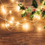 Salcar led guirlande lumineuse de 10 m�tres - blanc chaud