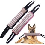 Lot de 2 jouet chien indestructible, boudin jouet pour chien interactif, macher corde jouets pour jeux ...