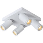 Taylor spot plafond sdbain