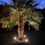 Kit de 3 spots led encastr�s solaires inox kit3?sun28 - 3 c�bles de 2m - 100 lumens / spot