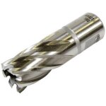 Makita - carotteuse 19x35 mm - ud00upc19s