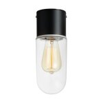 Markslojd - zen - plafonnier de salle de bain  1 lumire noir ip44, e27