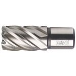 M�che creuse hss weldon / / 16, 0 x 30 mm bc - qp engins de forage 19500301625