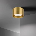 Millumine - plafonnier spot laiton mat spike