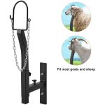 Mophorn - morphorn support d'�lagage pour b�tail - support pour ch�vres et moutons. hauteur r�glable ...