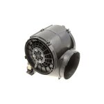 Moteur energy 800 clas 1 roblin 133. 0257. 995