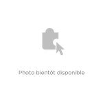 Electrolux - moteur hotte arthur martin 4055226908 4055358933