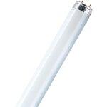 Osram - lot de 25 lampes fluorescentes 36w blanc froid 4000k 120cm lumilux