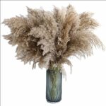 Pampas reed ornement naturel marron fleurs s�ch�es bouquet pampas reed fleurs s�ch�es boh�me ornement ...