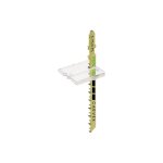 Pare - �clats festool sp - ps / psb 300 - bo�te de 20 - 490121