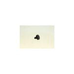 Patin de grille pour cuisiniere smeg 754010121