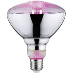 Lampe pour plantes  led, croissance 230 v e27 6. 5 w ambr 1 pc(s) - paulmann