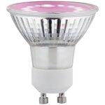 Lampe pour plantes � led, croissance 230 v gu10 3. 5 w ambr� 1 pc(s) c002532 - paulmann