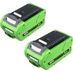 Pdstation - 2 batteries 40 v 6, 0 ah pour outils �lectriques greenworks 40 v gwl1820 (mod�les 29472, ...