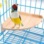 Pet bird perch platform stand bois pour petits animaux perroquet perruche conure cockatiel perruche gerbille ...