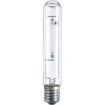 Philips - ampoule son - t e40 1000 watts cc 220 forme t65