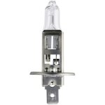 Ampoule halogne philips automotive 47516930 vision h1 55 w 1 pc(s)