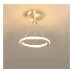 Stoex - plafonnier moderne simple luminaire plafonnier minimaliste lampe de plafond led nordique or pour ...