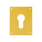 Plaque de propret� laiton poli cl� i 50x50mm heracles 251352 - clei