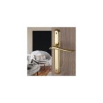 Poign�e de porte int�rieure design en laiton poli sur plaque bdc entraxe 195 mm, marisa