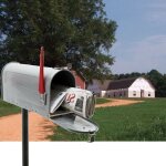 Le poisson qui jardine - bo�te aux lettres style am�ricaine, avec pied support, argent�e - argent�e
