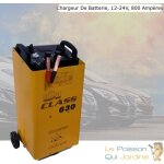 Le poisson qui jardine - chargeur de batterie rapide 12 - 24v, 800 ampères, voiture moto bateau Le poisson qui jardine - chargeur de batterie rapide 12 - 24v, 800 ampères, voiture moto bateau