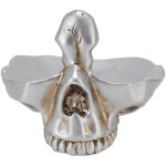 Porte - lunettes cr�ne d�coratif en r�sine synth�tique pour bureau ou salon, pr�sentoir � lunettes