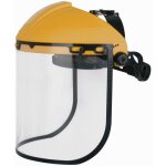 Porte visi�re avec visi�re polycarbonate incolore delta plus - balb2in