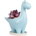 Pot de c�ramique succulente avec soucoupe, pot de fleur cactus forme de dinosaure, mini int�rieur pot ...