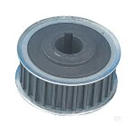 Castelgarden - 125601562 / 0 - poulie crante pour tondeuse autoporte / ggp