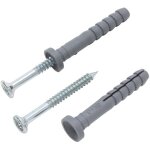 Protektor - chevilles � frapper cruciformes, chevilles � clouer, set de chevilles et de clous 100 pi�ces, ...