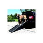 Morin import - rampe d'accs pliante - modle plastique dsignation : rampe type : long 156 cm 3939
