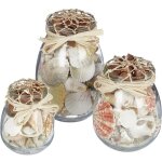 D�co plage, lot de 3, m�lange de vraies coquilles, verres de diff�rentes tailles, maritime, nature - ...