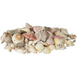 Mlange de coquillages coquilles de mer 1kg filet dcoration maritime, color - relaxdays