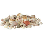 Relaxdays mlange de coquillages coquilles de mer 2 kg filet dcoration maritime