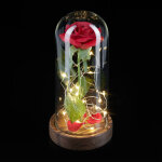 Rose éternelle sous cloche, avec lumière, cadeau la belle et la bête, fleur artificielle, rouge - relaxdays ... Rose éternelle sous cloche, avec lumière, cadeau la belle et la bête, fleur artificielle, rouge - relaxdays ...