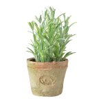 Ac - deco - romarin artificiel en pot - d 10, 5 cm x h 16, 5 cm - livraison gratuite