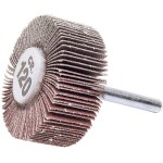 Roue a lamelles sur tige de 6 d. 30x10 gr 120 a corindon sidamo - 10401102