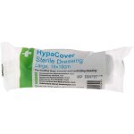 Compresse strile absorbant rs pro prix pour sachet de 6 )