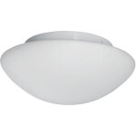 Searchlight - plafonnier tokyo 1l salle de bain ip44 clii metal blanc verre opale e27 max 60w diam 23cm ... Searchlight - plafonnier tokyo 1l salle de bain ip44 clii metal blanc verre opale e27 max 60w diam 23cm ...