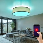 Etc - shop - plafonnier smart home dimmable bois optique gris clair alexa google dans un ensemble comprenant ...