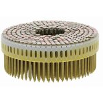 Spit - bo�te de 9750 pointe cnp - in crant�e 2. 5 x 50 mm standard 312374