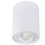 Spot bord en saillie 25w pour �clairage int�rieur - type de plafonnier - plafonnier blanc mat