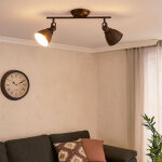 Spot de plafond 2 flammes lampe de salon plafonnier couleur rouille plafonnier, m�tal, 2x e14, lxh 45 ...