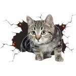 Stickers de voiture 3d stickers de chat mignon stickers de mur � th�me animalier stickers de voiture ...