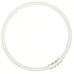 Sylvania 200418 ampoule sylvania circline plus t5 circline 40w - 840 blanc froid Sylvania 200418 ampoule sylvania circline plus t5 circline 40w - 840 blanc froid