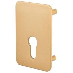 Thirard - plaque de renfort porte isoplane type capital � cylindre profil�, �poxy bronze