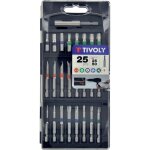 Coffret d'embouts de vissage standard & torsion 25 pices ? 24 embouts de vissage longs et bagus + 1 ...